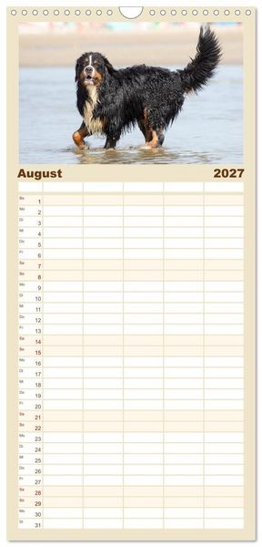 Produktbild: Familienplaner 2027 - Freunde auf vier Pfoten am Strand mit 5 Spalten (Wandkalender, 21 x 45 cm) CALVENDO