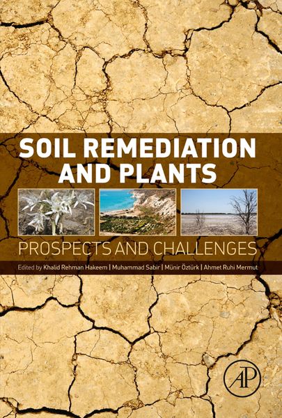 Produktbild: Soil Remediation and Plants