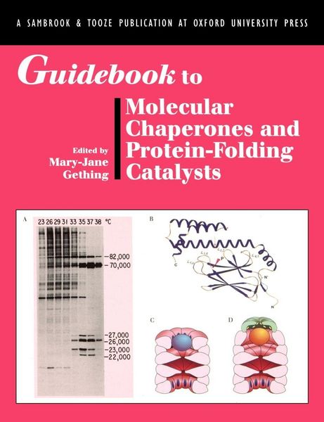 Produktbild: Guidebook to Molecular Chaperones and Protein-Folding Catalysts