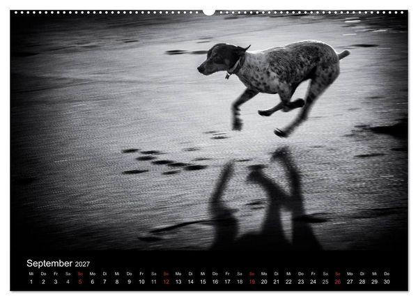 Produktbild: Das Licht in Schwarz und Wei&szlig; (hochwertiger Premium Wandkalender 2027 DIN A2 quer), Kunstdruck in Hochglanz