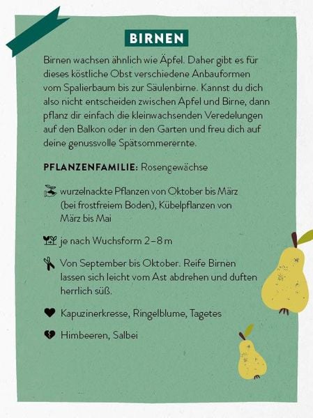 Produktbild: Kartenset: Keine Zeit zu g&auml;rtnern &ndash; 64 Karten &ndash; Einfach und schnell zum Gem&uuml;segarten