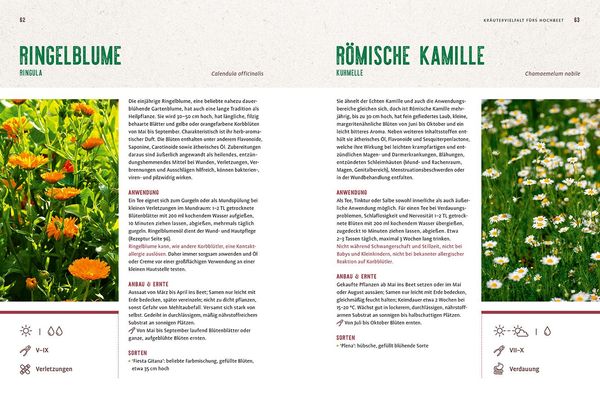 Produktbild: Mein Heilpflanzen-Hochbeet