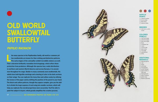 Produktbild: The Insect Artist