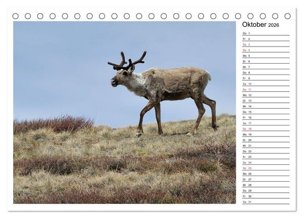 Produktbild: Alaskas Tierwelt - Paradies im Norden (Tischkalender 2026 DIN A5 quer), CALVENDO Monatskalender