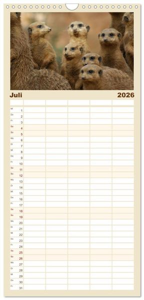 Produktbild: Familienplaner 2026 - Erdm&auml;nnchen: Zusammen sind wir stark mit 5 Spalten (Wandkalender, 21 x 45 cm) CALVENDO