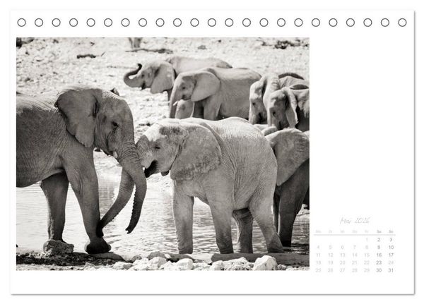 Produktbild: Elefanten in Etosha (Tischkalender 2026 DIN A5 quer), CALVENDO Monatskalender