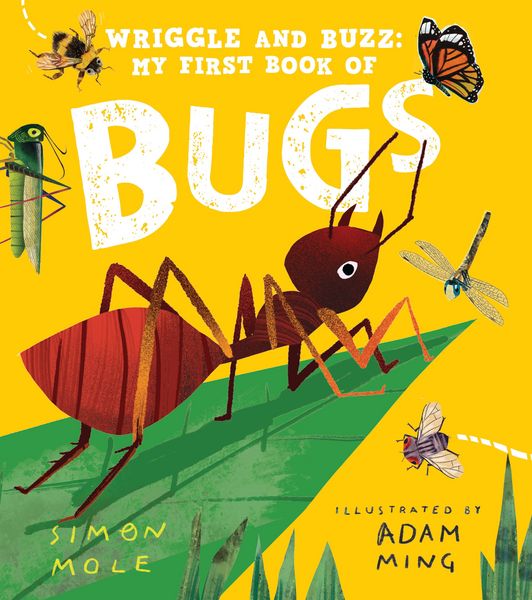 Produktbild: Wriggle and Buzz: My First Book of Bugs