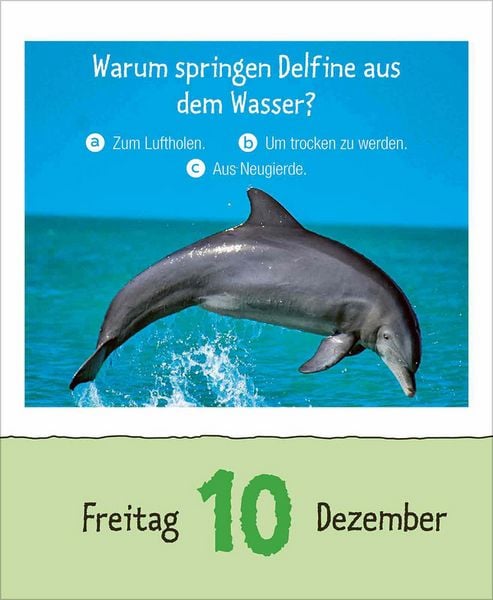 Produktbild: Wie faul ist das Faultier? 2027
