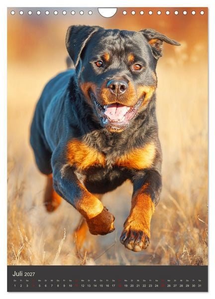 Produktbild: Rottweiler. Kraft, Herz und Treue (Wandkalender 2027 DIN A4 hoch), CALVENDO Monatskalender