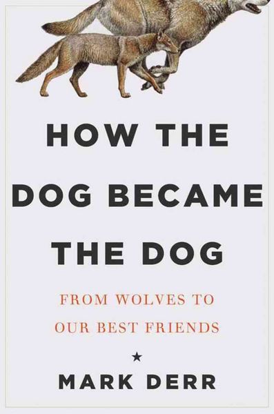 Produktbild: How The Dog Became The Dog