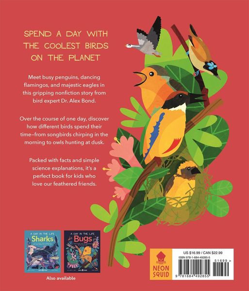 Produktbild: Birds (a Day in the Life)