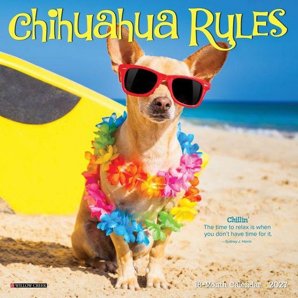 Produktbild: Chihuahua Rules 2027 7 X 7 Mini Wall Calendar
