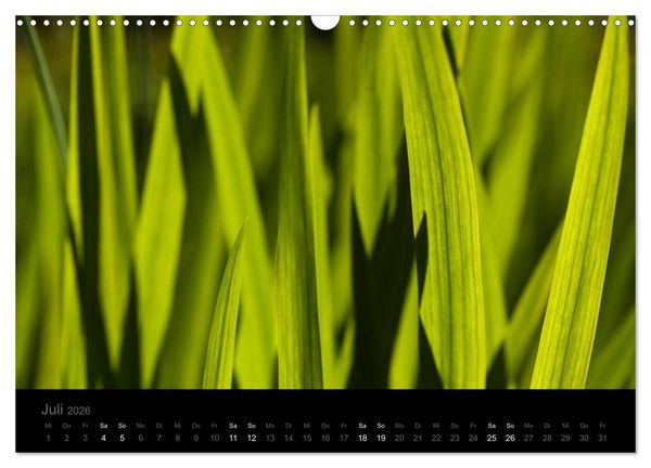 Produktbild: Natur im Detail (Wandkalender 2026 DIN A3 quer), CALVENDO Monatskalender