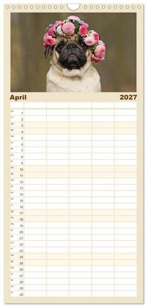 Produktbild: Familienplaner 2027 - Lustige M&ouml;pse aus der Hundeknipserei mit 5 Spalten (Wandkalender, 21 x 45 cm) CALVENDO