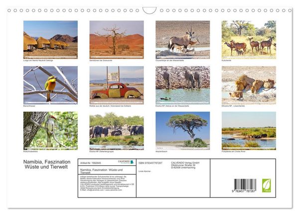 Produktbild: Namibia, Faszination W&uuml;ste und Tierwelt (Wandkalender 2026 DIN A3 quer), CALVENDO Monatskalender