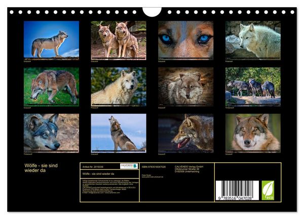 Produktbild: W&ouml;lfe - sie sind wieder da (Wandkalender 2026 DIN A4 quer), CALVENDO Monatskalender