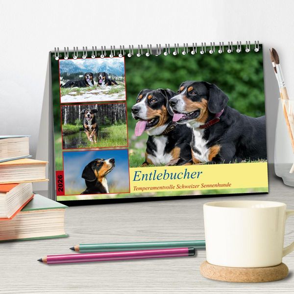 Produktbild: Entlebucher - Temperamentvolle Schweizer Sennenhunde (Tischkalender 2026 DIN A5 quer), CALVENDO Monatskalender