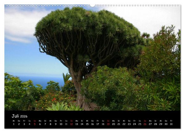 Produktbild: La Palma, Isla bonita (hochwertiger Premium Wandkalender 2026 DIN A2 quer), Kunstdruck in Hochglanz