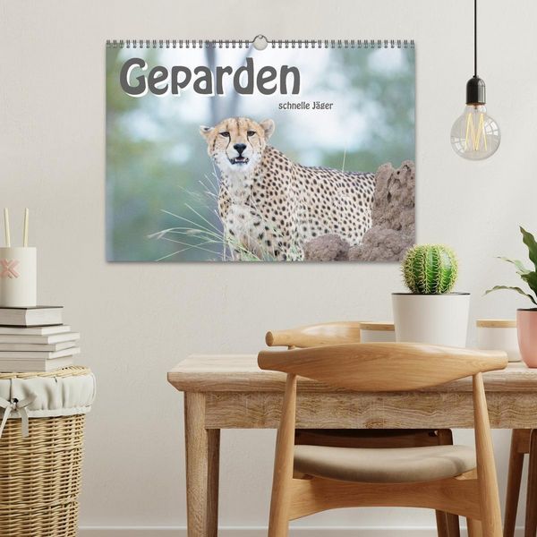 Produktbild: Geparden - schnelle J&auml;ger (Wandkalender 2026 DIN A3 quer), CALVENDO Monatskalender