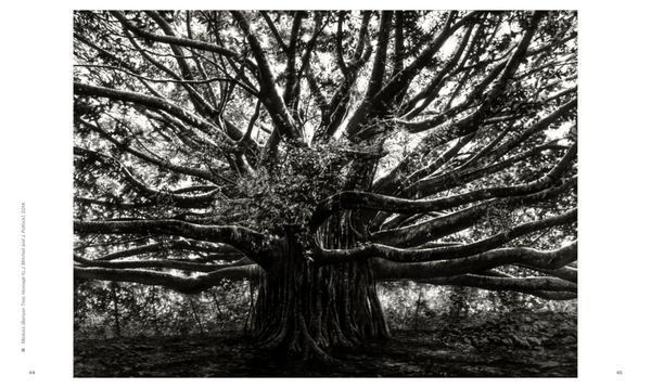 Produktbild: Robert Longo: The Acceleration of History