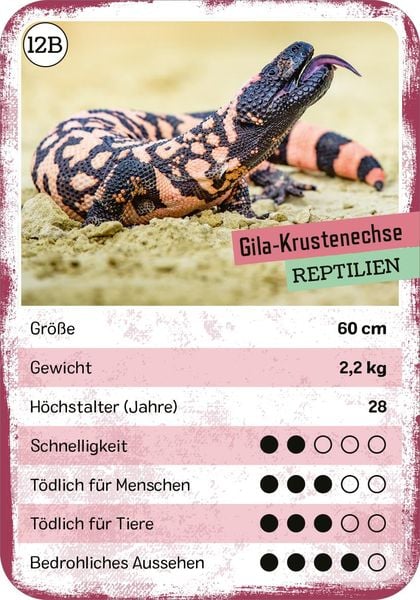 Produktbild: Das t&ouml;dliche Quartett