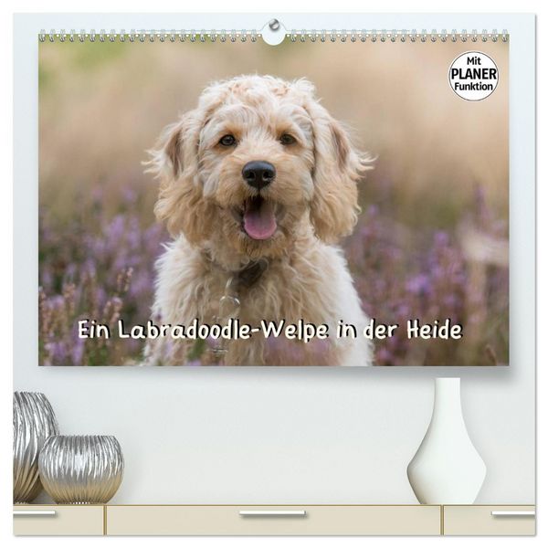 Ein Labradoodle-Welpe in der Heide (hochwertiger Premium Wandkalender 2026 DIN A2 quer), Kunstdruck in Hochglanz