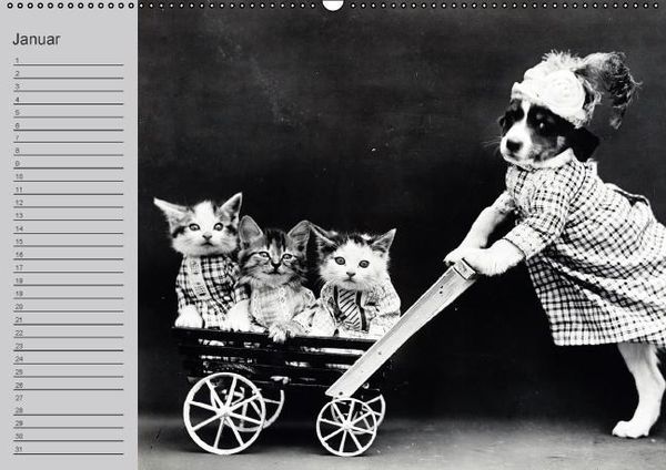 Produktbild: Katzen und Hunde - Nostalgie auf Pfoten (Wandkalender immerw&auml;hrend DIN A2 quer)