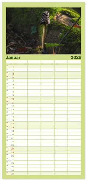 Produktbild: Familienplaner 2026 - Wundersame Pilzwelten mit 5 Spalten (Wandkalender, 21 x 45 cm) CALVENDO