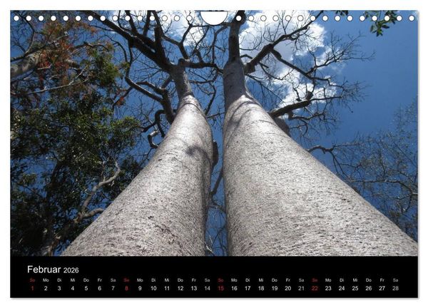 Produktbild: Abenteuer Madagaskar (Wandkalender 2026 DIN A4 quer), CALVENDO Monatskalender