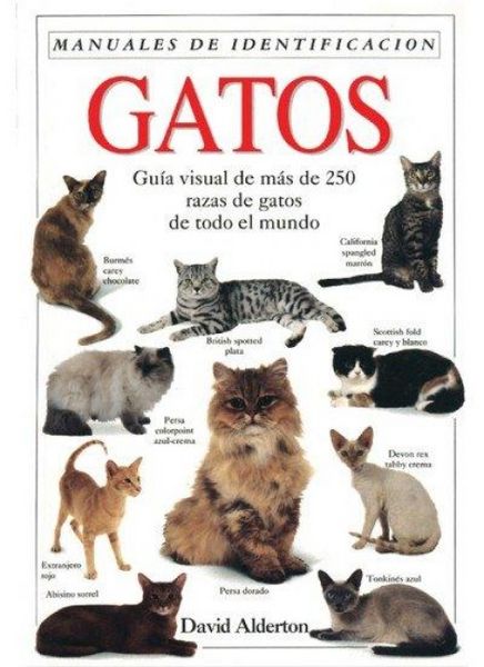 Produktbild: Gatos : una gu&iacute;a visual