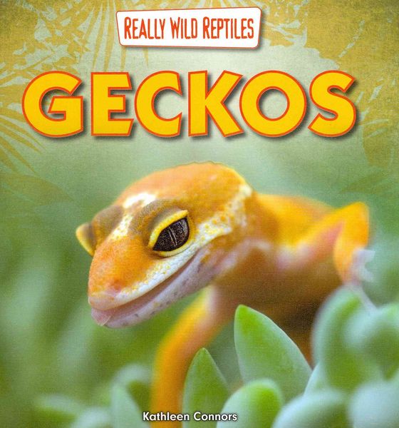 Produktbild: Geckos