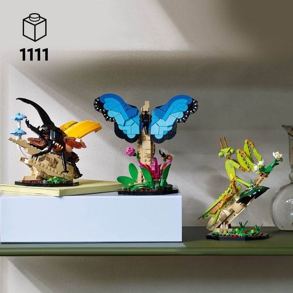 Produktbild: LEGO Ideas 21342 Die Insektensammlung, 3 Insekten-Modelle mit Schmetterling