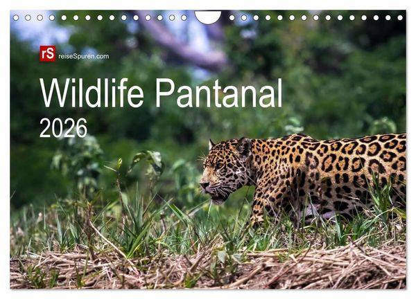 Produktbild: Wildlife Pantanal 2026 (Wandkalender 2026 DIN A4 quer), CALVENDO Monatskalender
