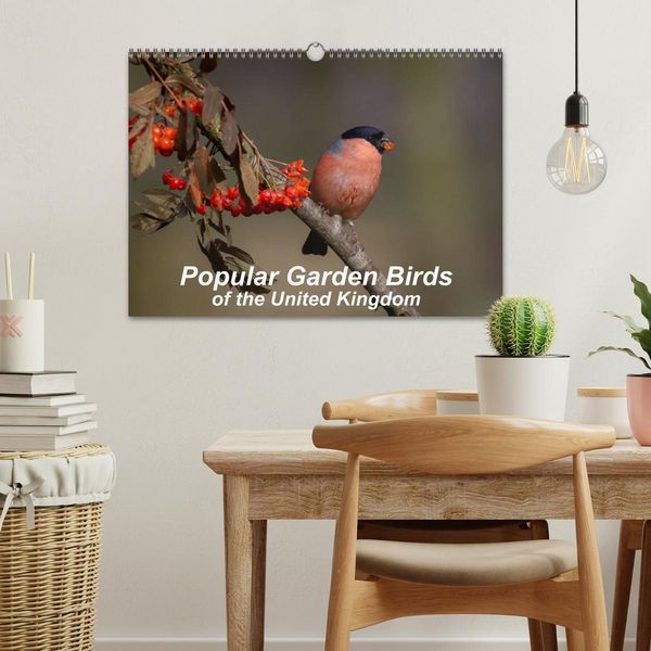 Produktbild: Popular garden birds of the united kingdom (Wall Calendar 2026 DIN A3 landscape), CALVENDO 12 Month Wall Calendar