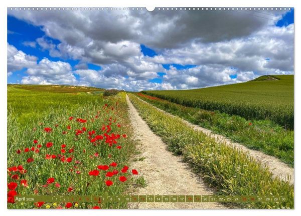 Produktbild: Augenblicke der Ruhe (Wandkalender 2026 DIN A2 quer), CALVENDO Monatskalender