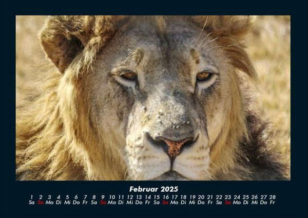 Produktbild: Der Tierkalender 2025 Fotokalender DIN A4