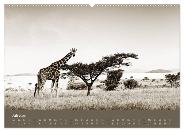 Produktbild: Wildes Afrika (hochwertiger Premium Wandkalender 2026 DIN A2 quer), Kunstdruck in Hochglanz