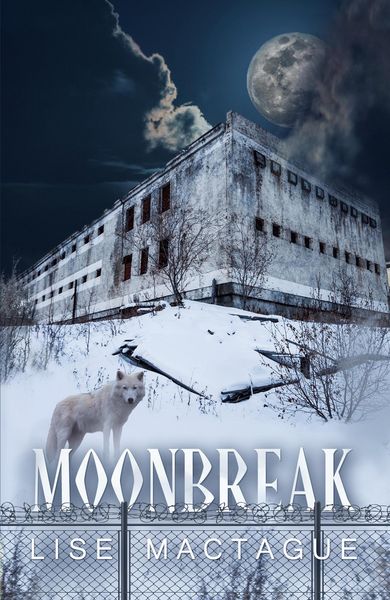 Produktbild: Moonbreak