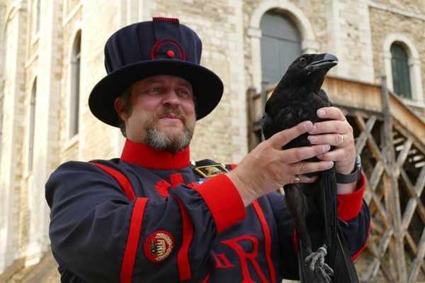 Produktbild: Im Tower von London