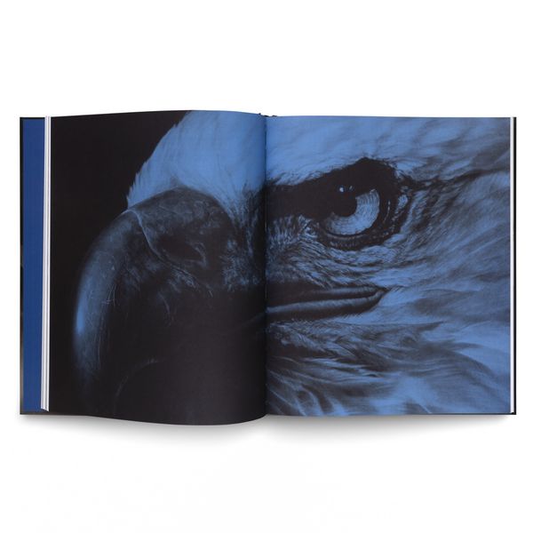 Produktbild: Robert Longo: The Acceleration of History