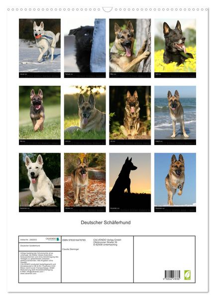 Produktbild: Deutscher Sch&auml;ferhund (Wandkalender 2026 DIN A2 hoch), CALVENDO Monatskalender