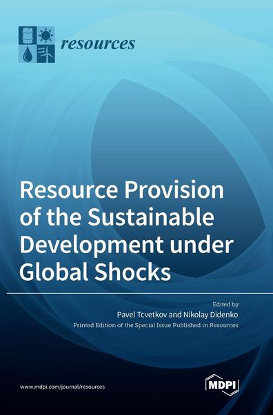 Produktbild: Resource Provision of the Sustainable Development under Global Shocks