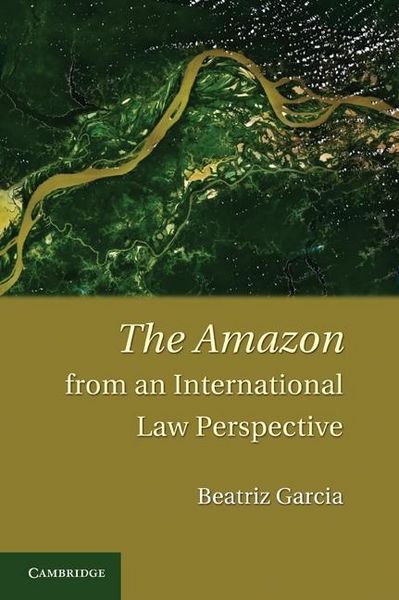 Produktbild: Amazon from an International Law Perspective