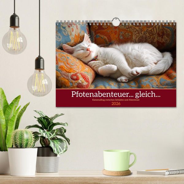 Produktbild: Pfotenabenteuer gleich (Wandkalender 2026 DIN A4 quer), CALVENDO Monatskalender