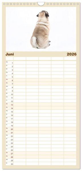 Produktbild: Familienplaner 2026 - Mops - unwiderstehlich und charmant mit 5 Spalten (Wandkalender, 21 x 45 cm) CALVENDO