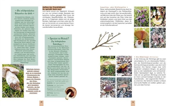 Produktbild: Pilzvergn&uuml;gt