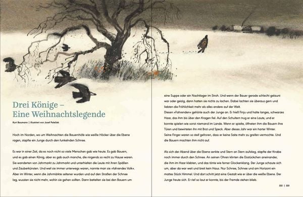 Produktbild: Die BilderBuchBande feiert Weihnachten