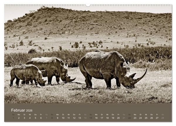 Produktbild: Wildes Afrika (hochwertiger Premium Wandkalender 2026 DIN A2 quer), Kunstdruck in Hochglanz