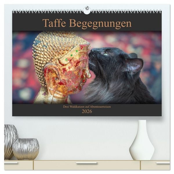 Produktbild: Taffe Begegnungen-Drei Waldkatzen auf Abenteuerreisen (hochwertiger Premium Wandkalender 2026 DIN A2 quer), Kunstdruck in Hochglanz