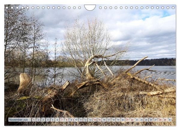 Produktbild: Magisches Ostholstein (Wandkalender 2026 DIN A4 quer), CALVENDO Monatskalender